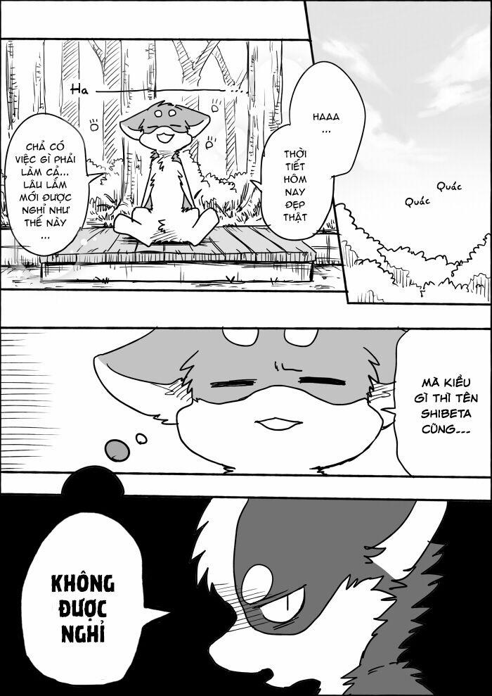 Helper Shibeta 8 trang 4