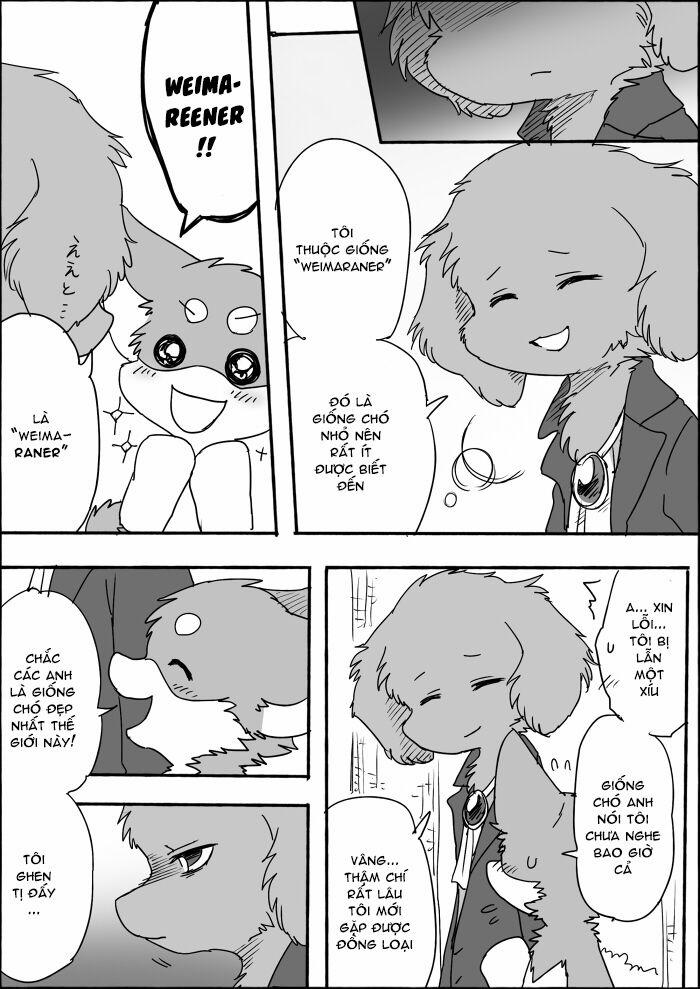 Helper Shibeta 8 trang 9