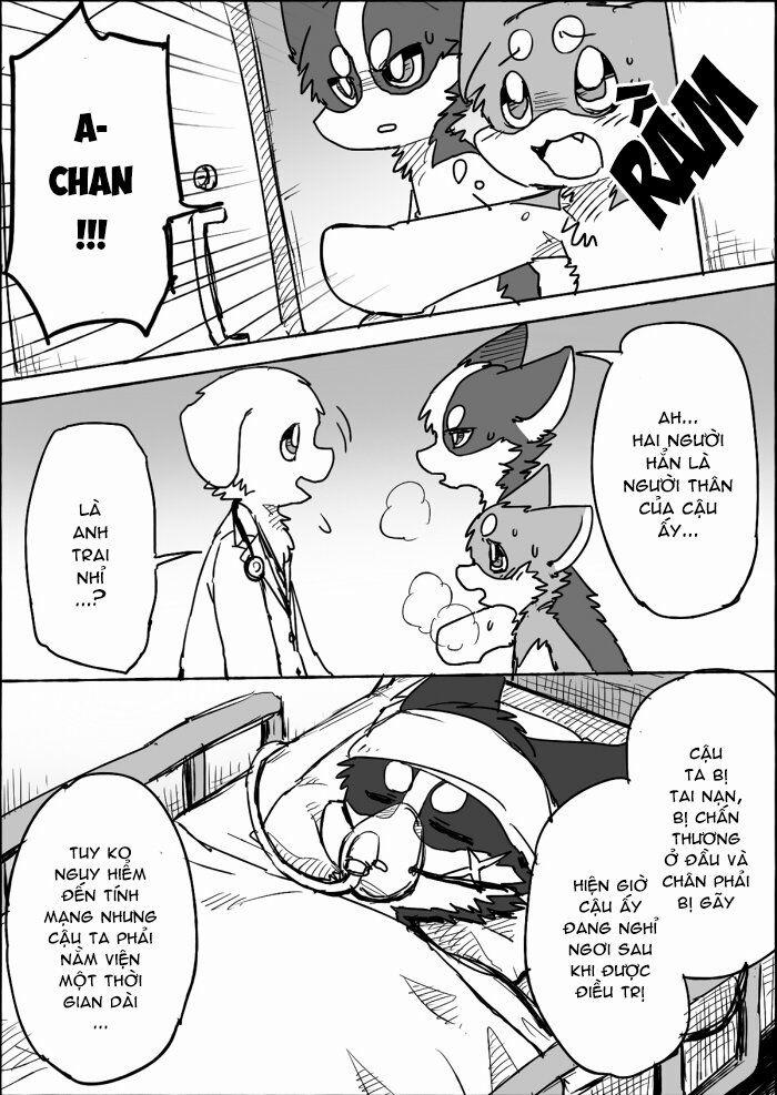 Helper Shibeta 9 trang 4