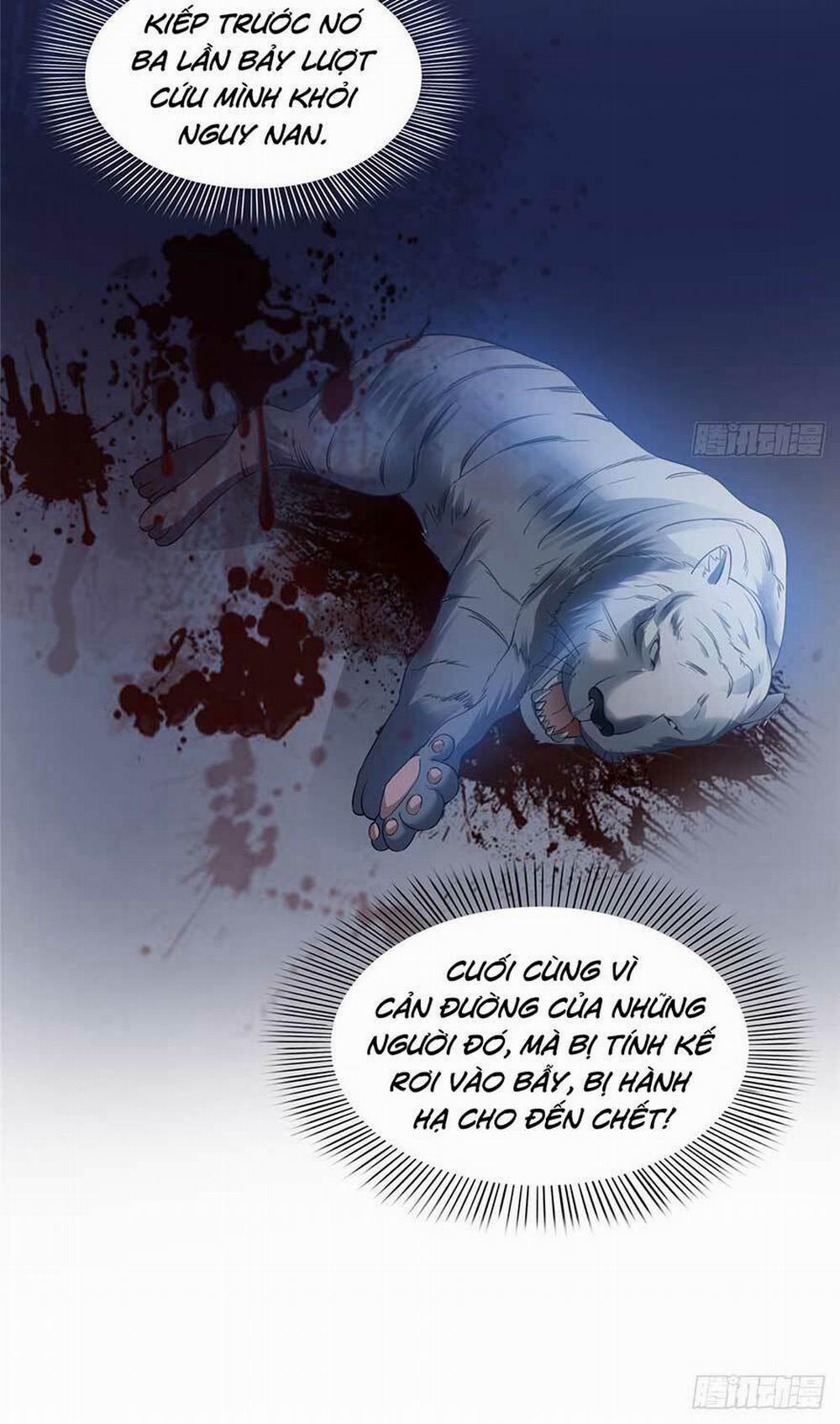 Hệt Như Hàn Quang Gặp Nắng Gắt 46 trang 18