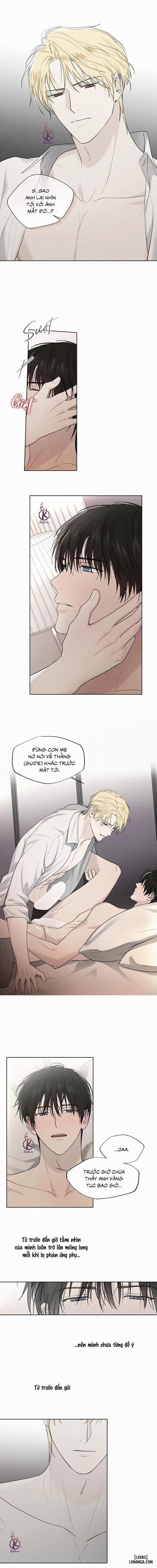 HIỂM HỌA GUIDING 15 trang 4