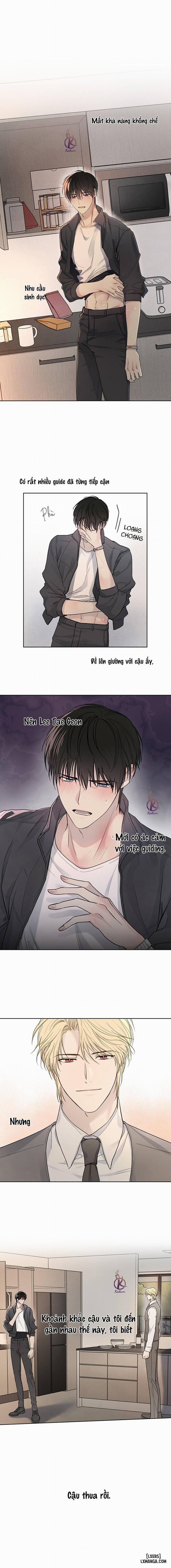 HIỂM HỌA GUIDING 4 trang 4