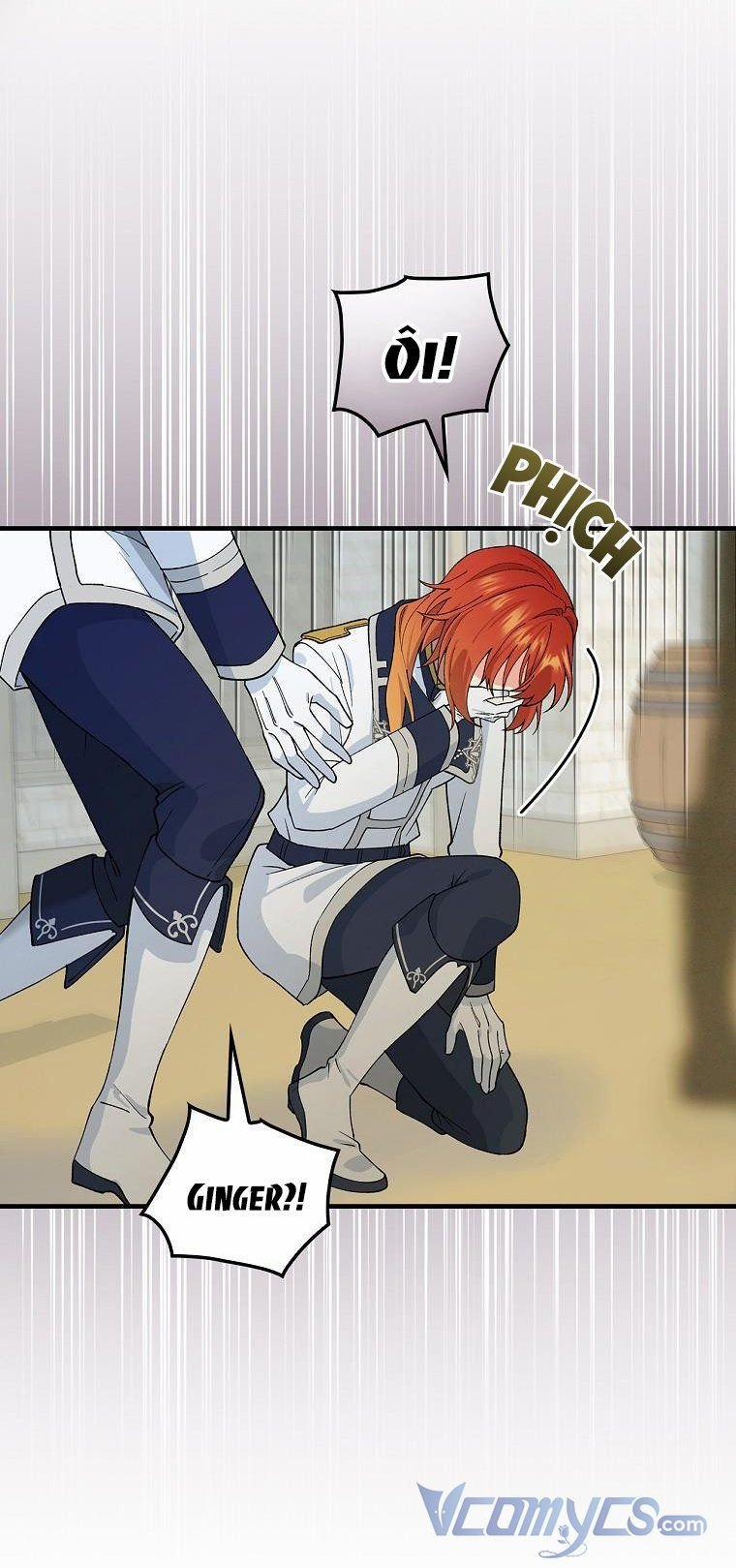 Hiệp Sĩ Hoa Băng 28 trang 17