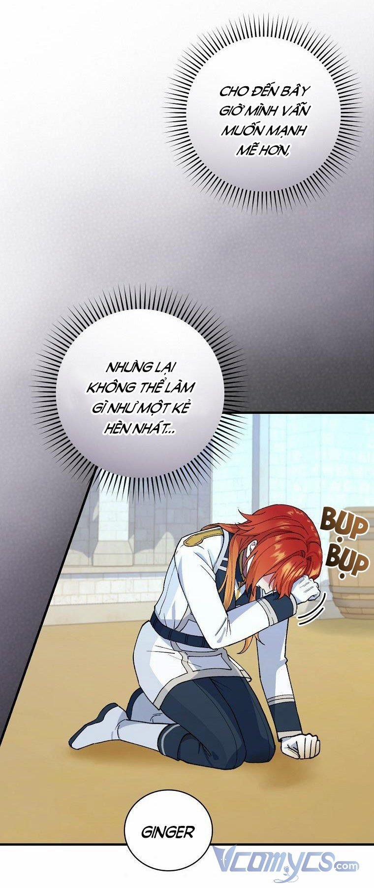 Hiệp Sĩ Hoa Băng 28 trang 27