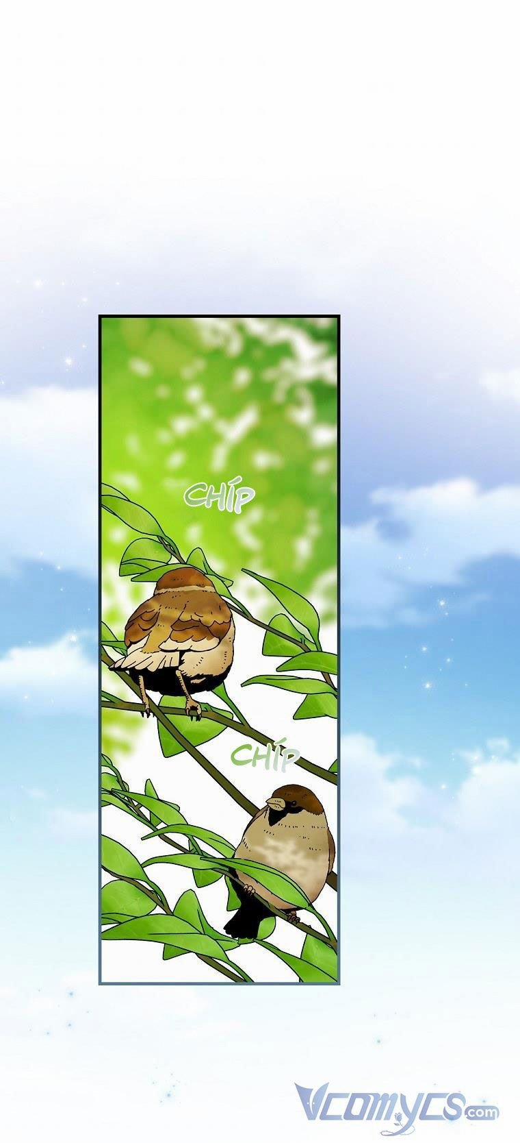 Hiệp Sĩ Hoa Băng 31 trang 41