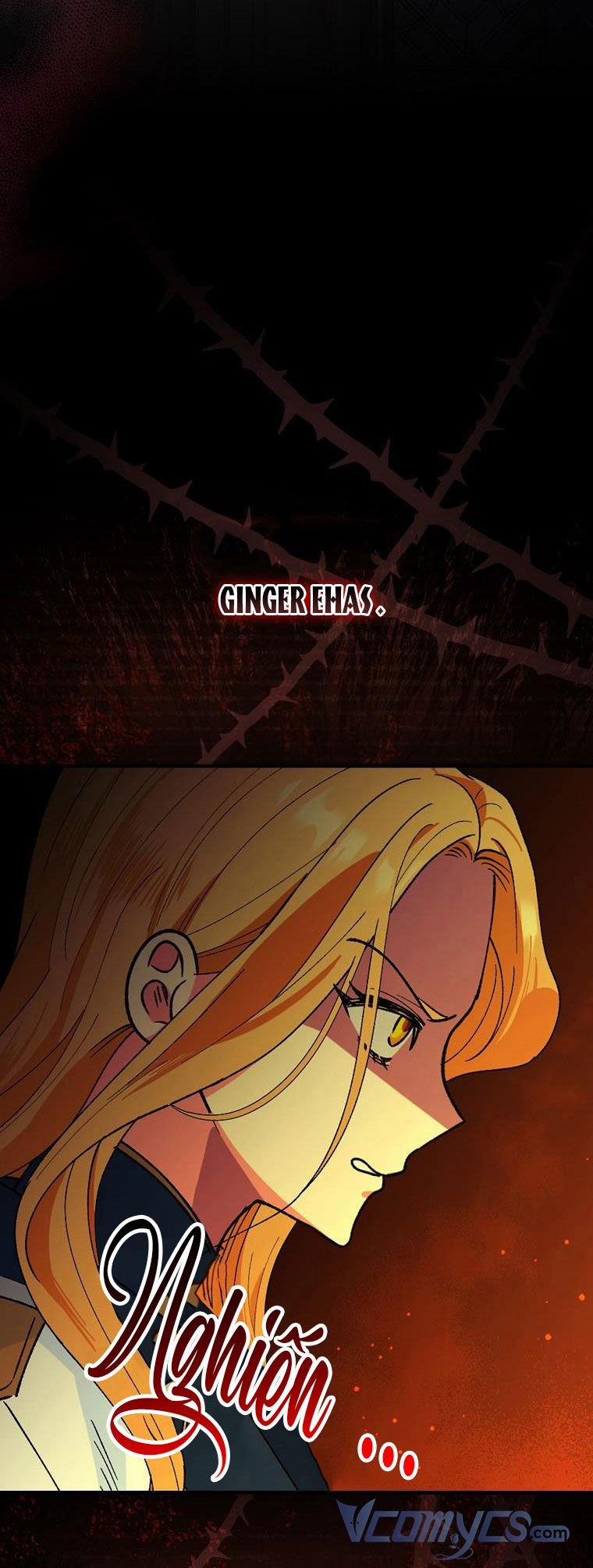 Hiệp Sĩ Hoa Băng 36 trang 20