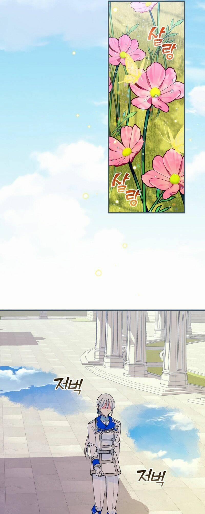 Hiệp Sĩ Hoa Băng 38 trang 1