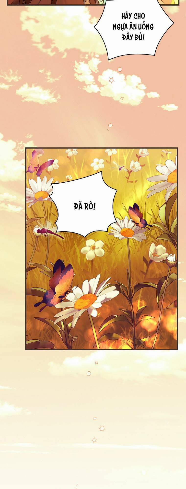 Hiệp Sĩ Hoa Băng 41 trang 2