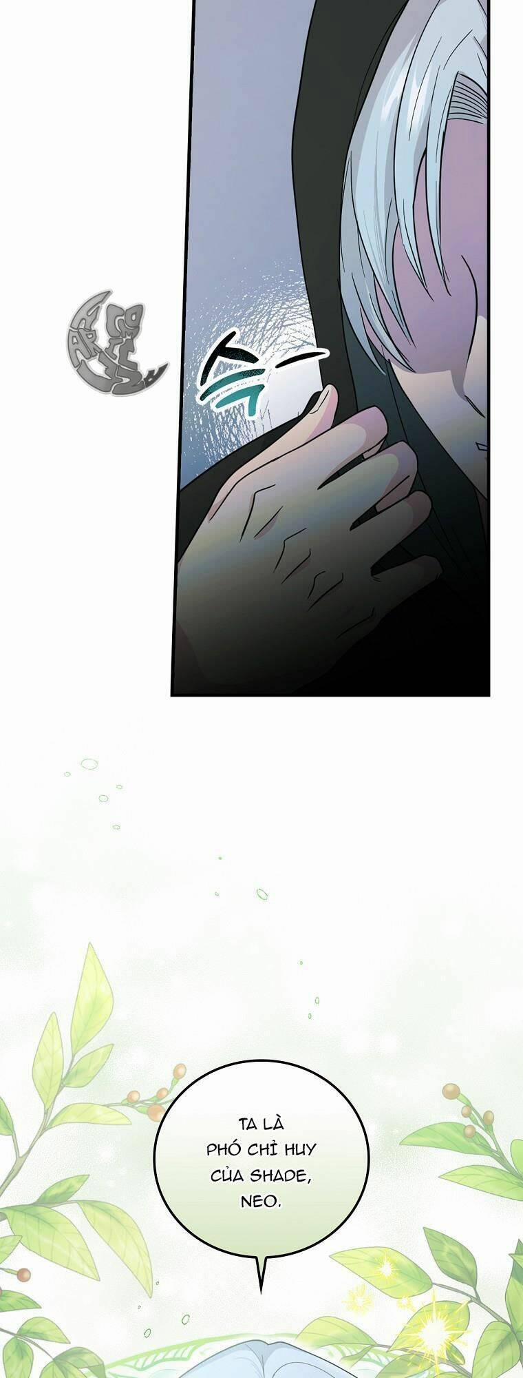 Hiệp Sĩ Hoa Băng 41 trang 46