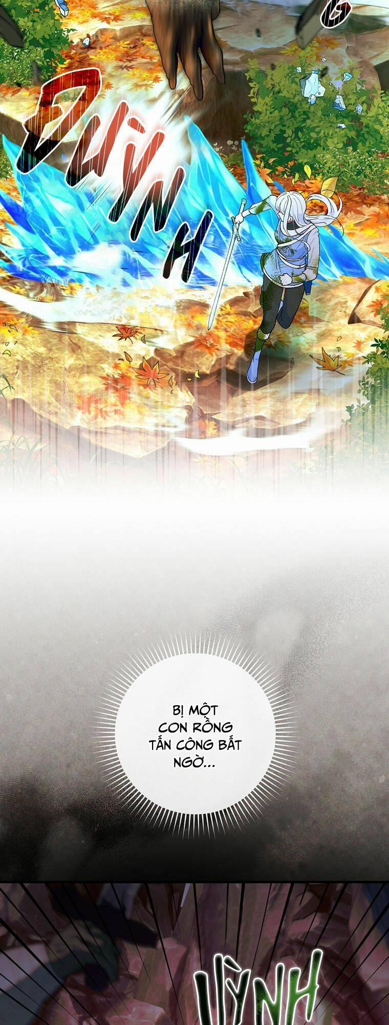 Hiệp Sĩ Hoa Băng 44 trang 1