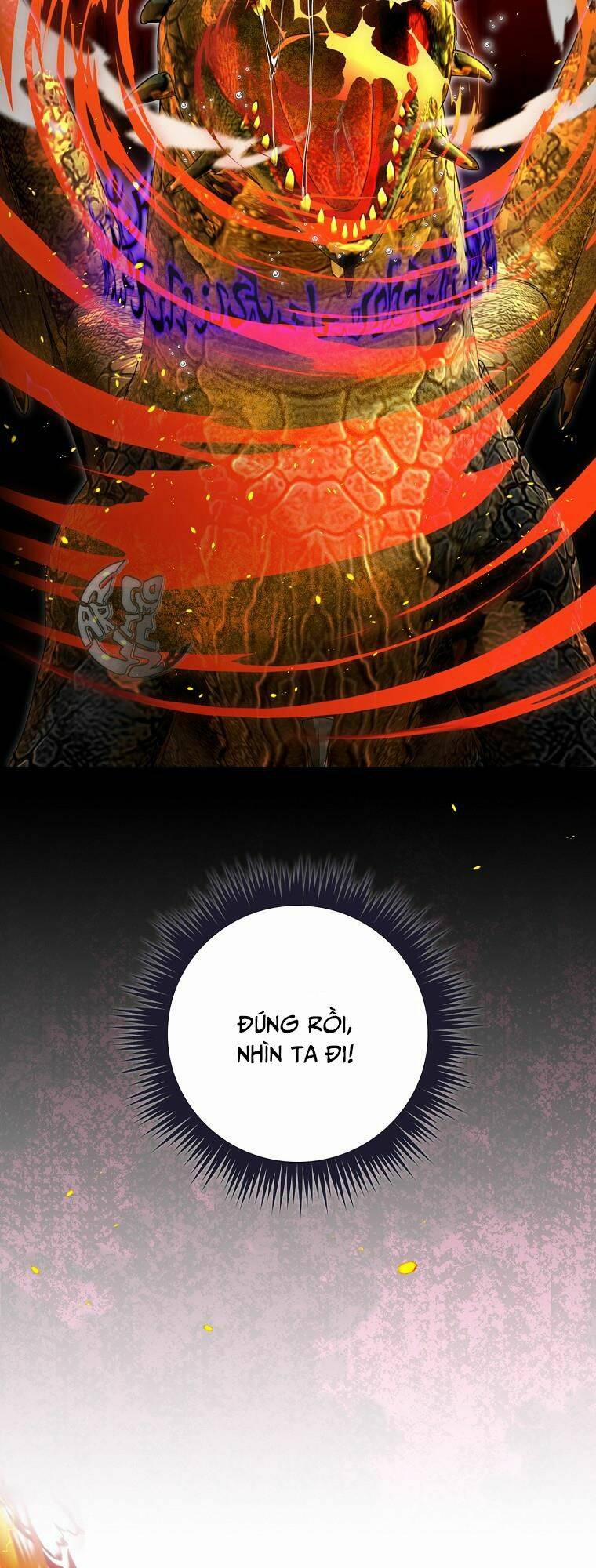 Hiệp Sĩ Hoa Băng 44 trang 28