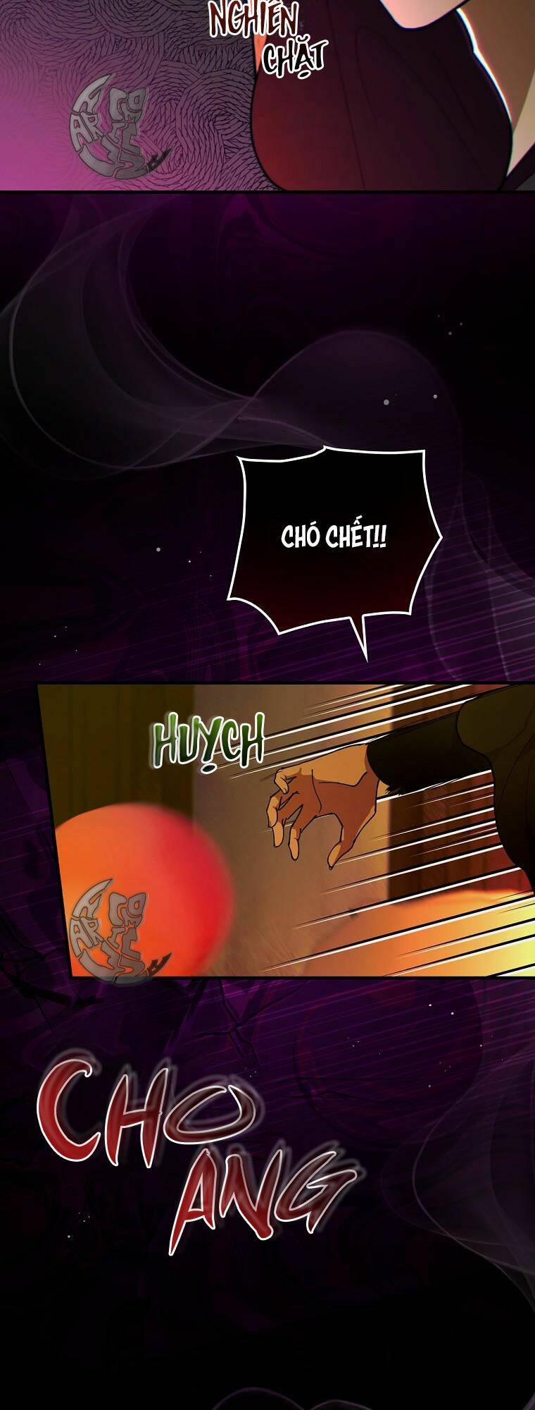 Hiệp Sĩ Hoa Băng 44 trang 47