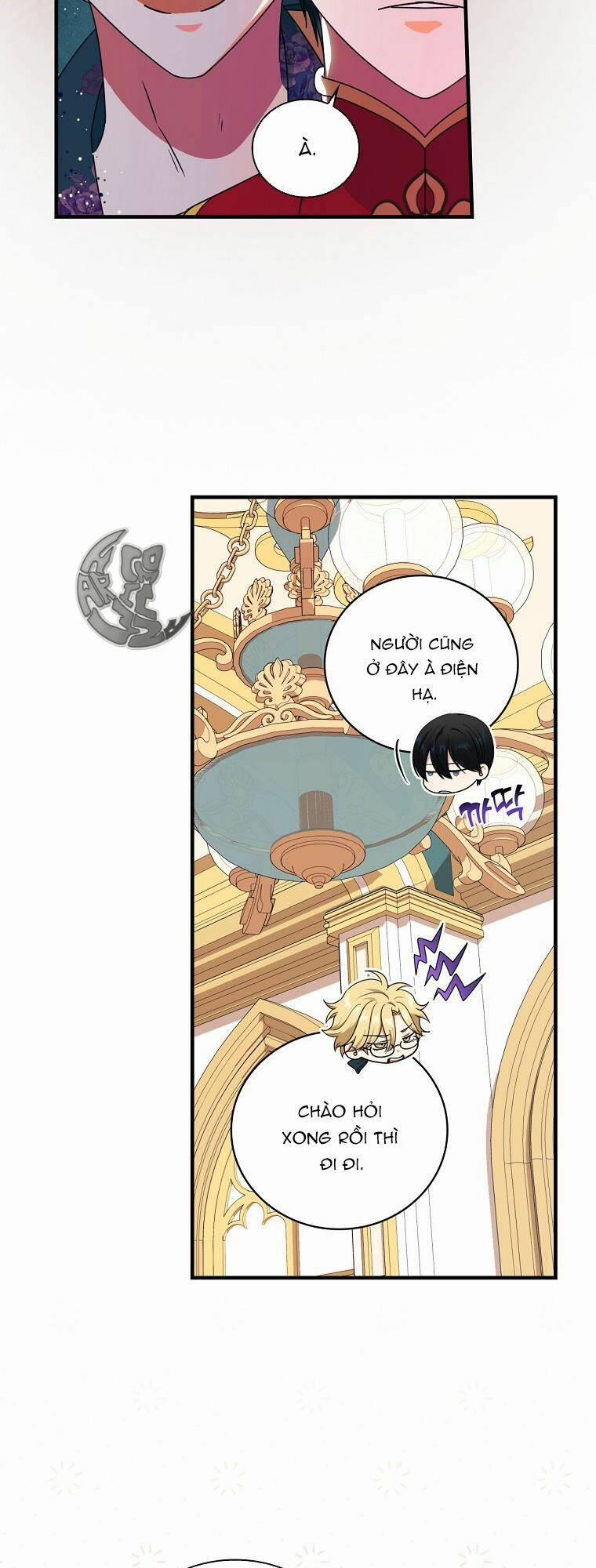 Hiệp Sĩ Hoa Băng 48 trang 24