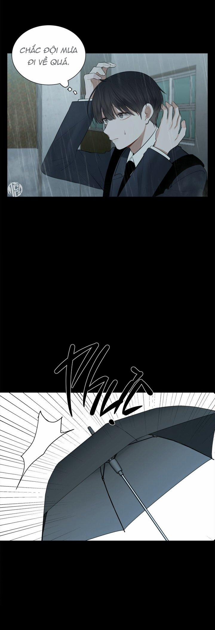 Hình Bóng Phản Chiếu 8 trang 23