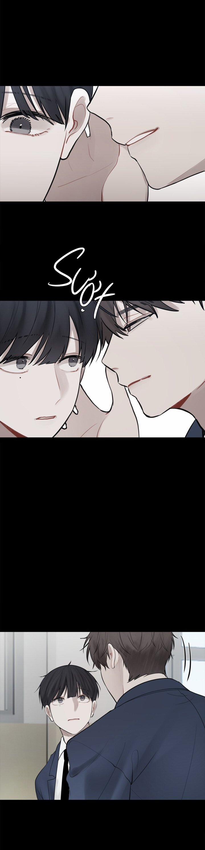 Hình Bóng Phản Chiếu 8 trang 5