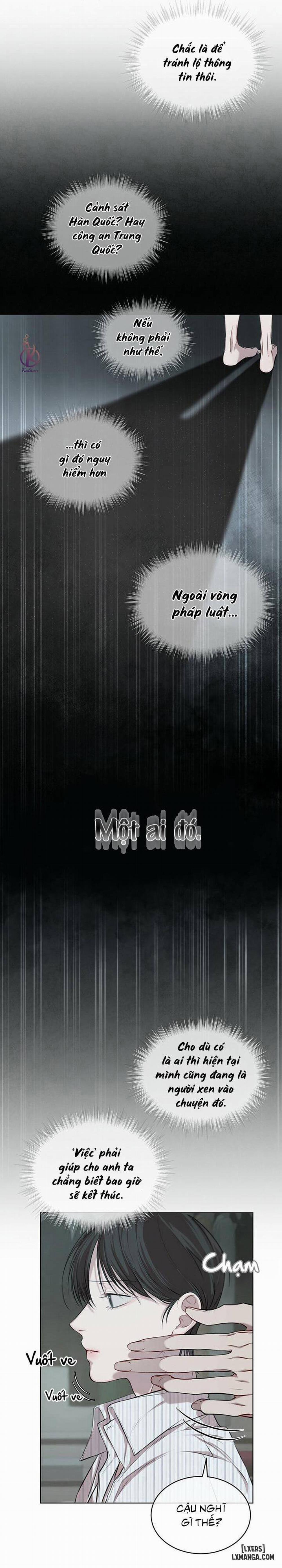 Hình thái khởi sinh 13 trang 14