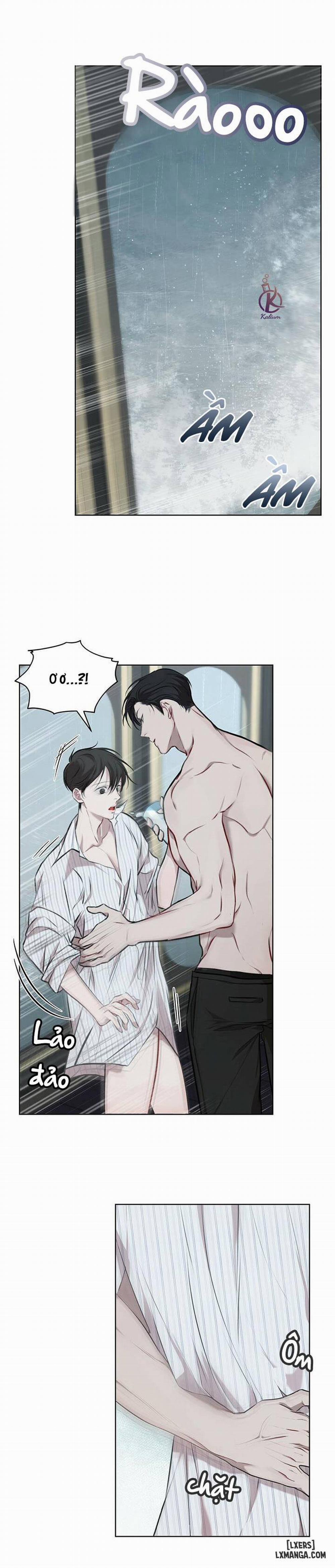 Hình thái khởi sinh 13 trang 17