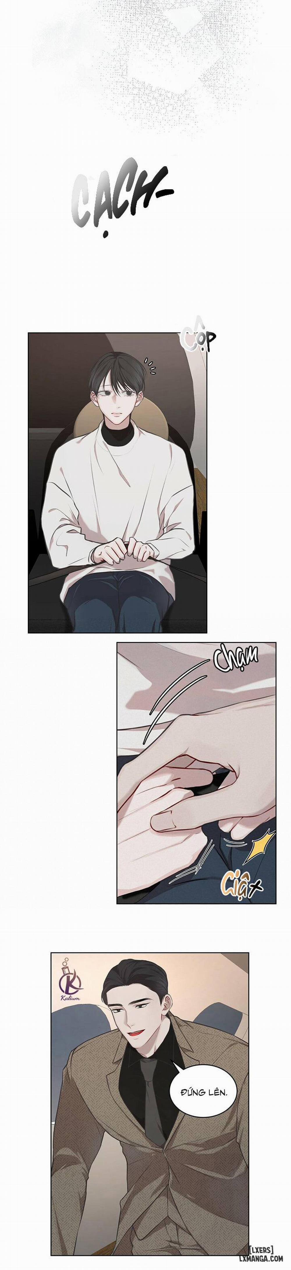 Hình thái khởi sinh 14 trang 4