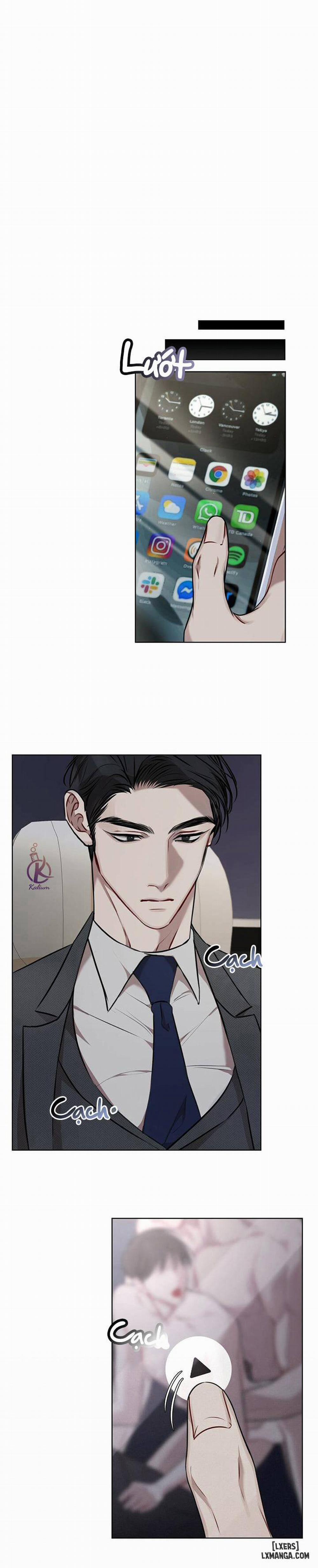 Hình thái khởi sinh 16 trang 17