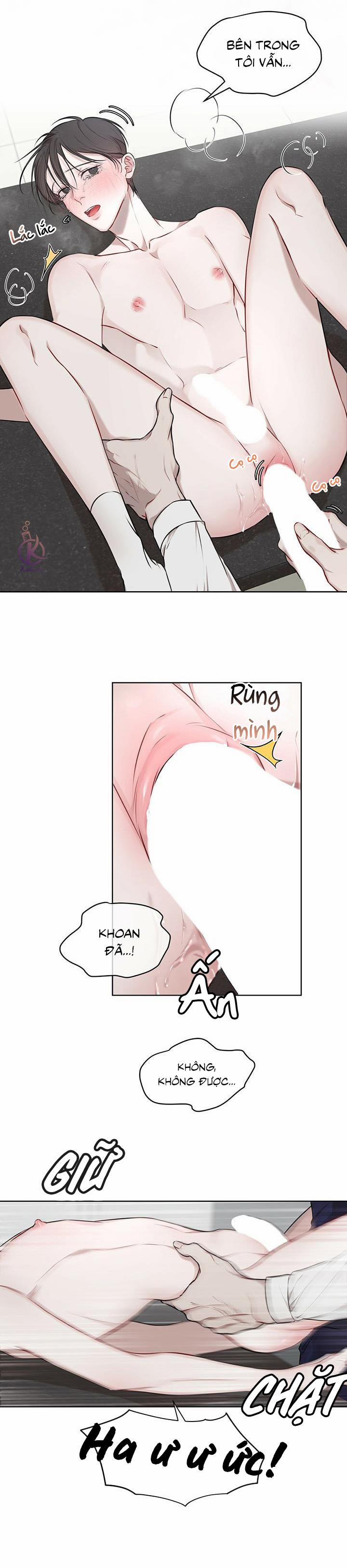 Hình thái khởi sinh 18.5 trang 7