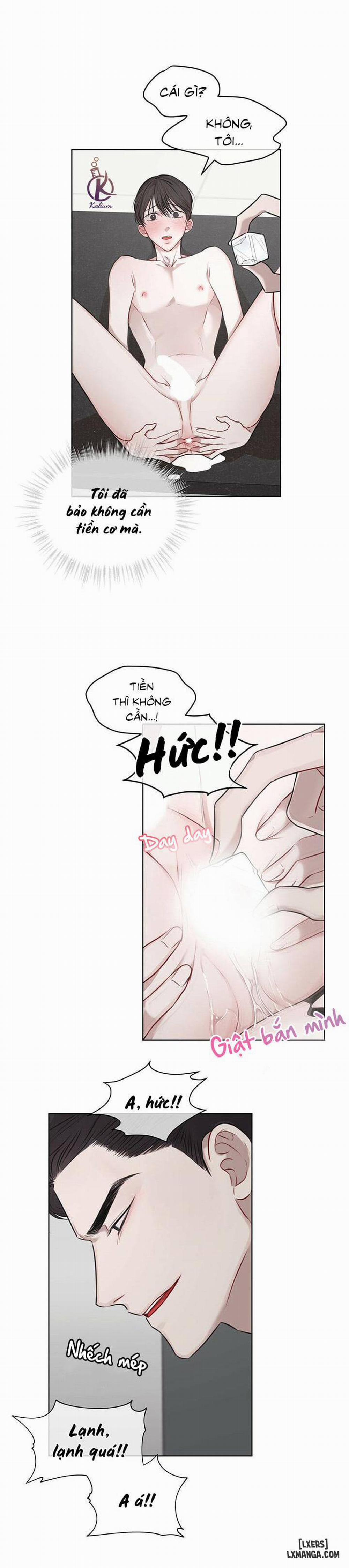 Hình thái khởi sinh 18 trang 13