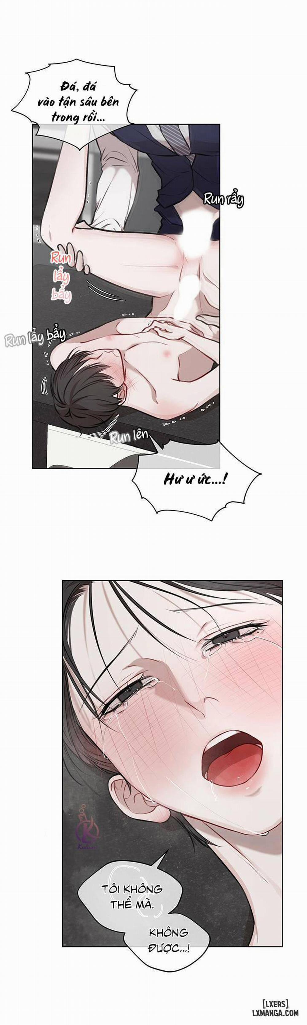 Hình thái khởi sinh 18 trang 19