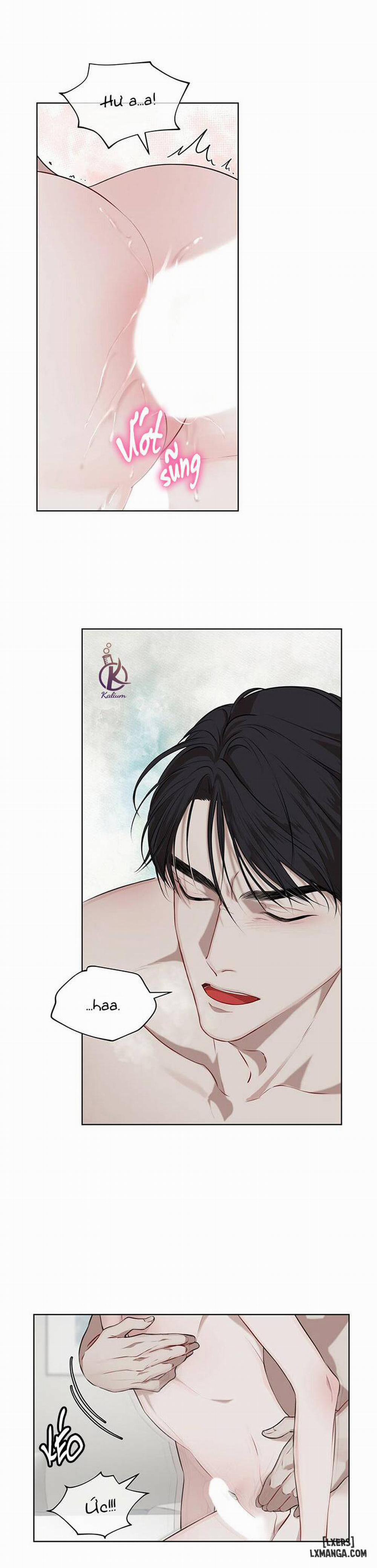 Hình thái khởi sinh 19 trang 5