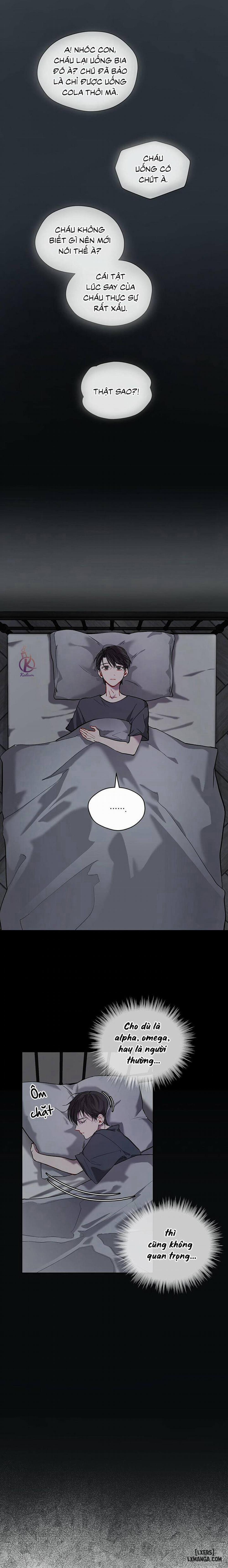 Hình thái khởi sinh 2 trang 8