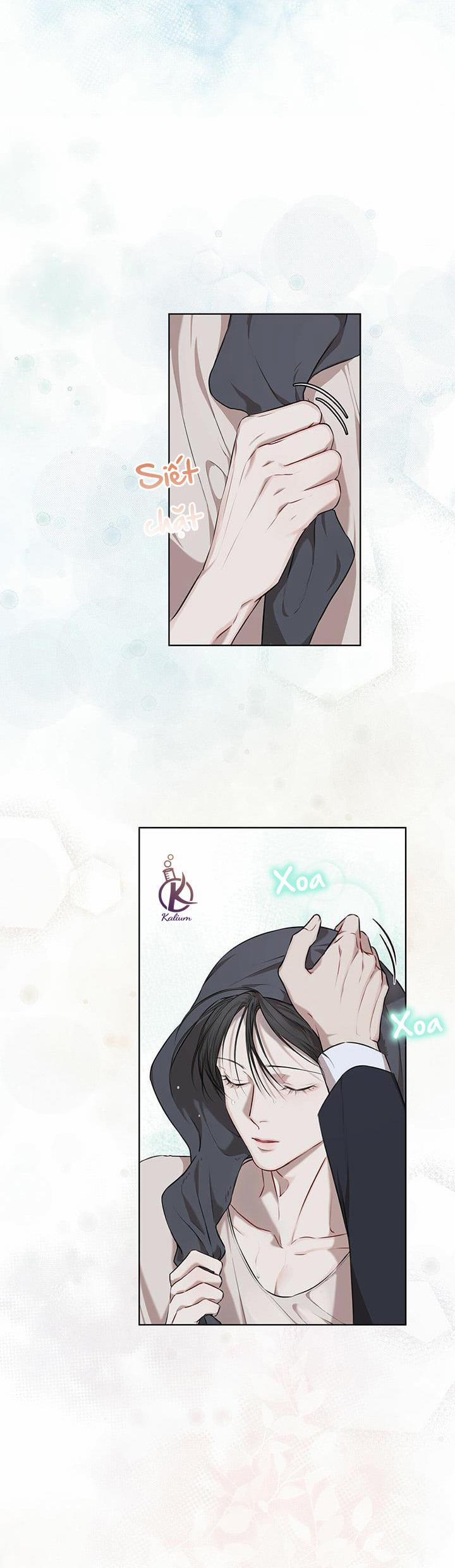 Hình thái khởi sinh 20.5 trang 15