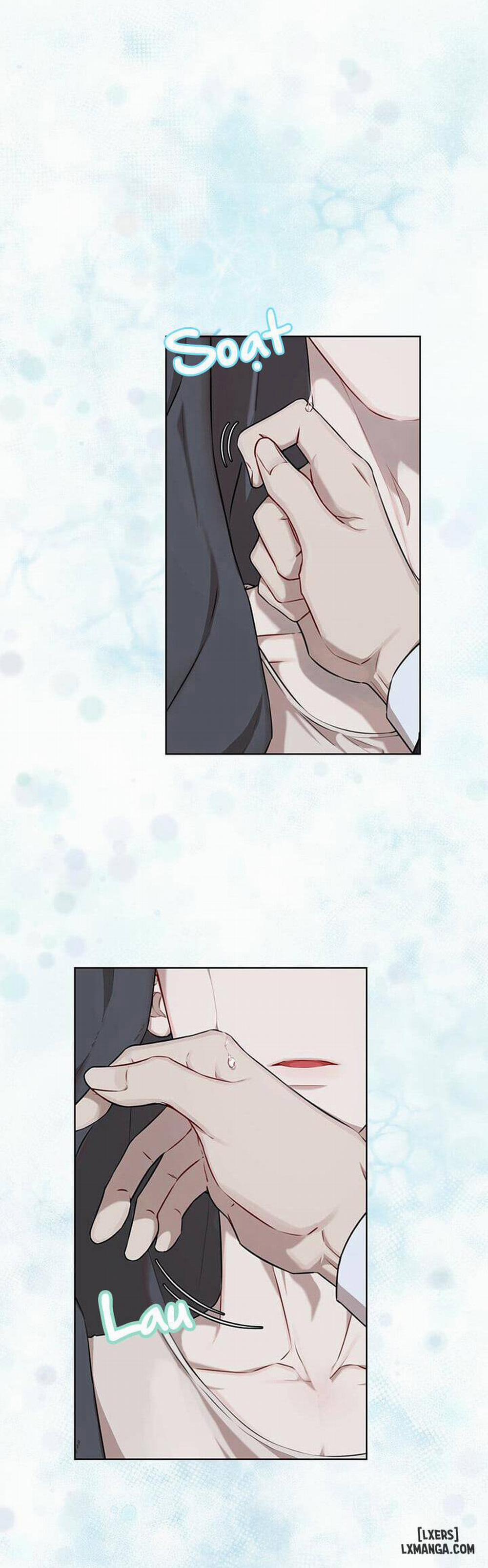 Hình thái khởi sinh 20 trang 31