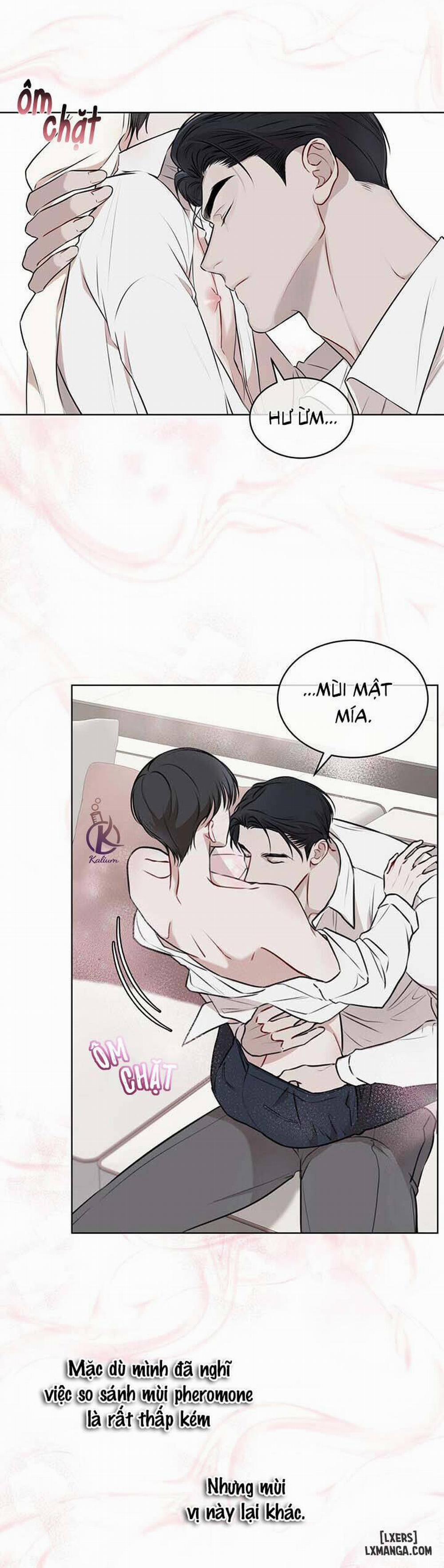 Hình thái khởi sinh 21 trang 20