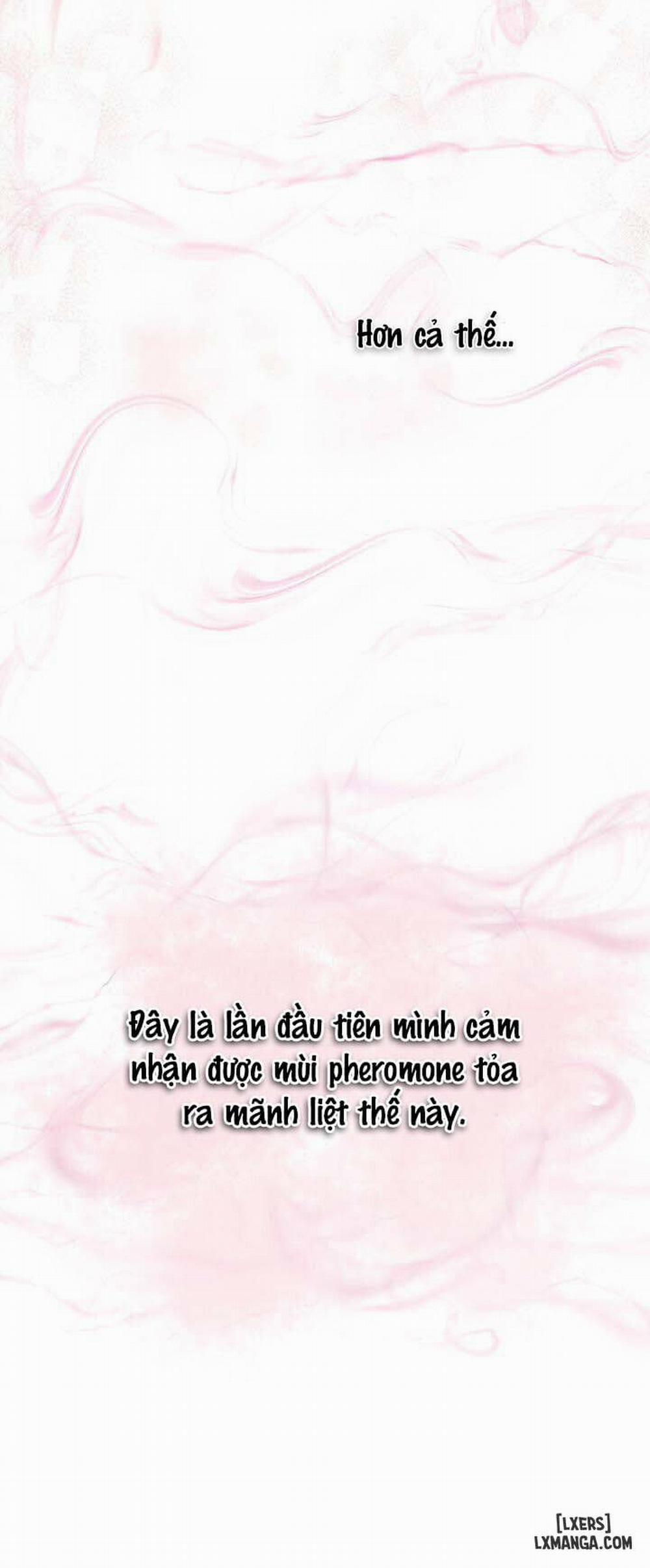 Hình thái khởi sinh 21 trang 21