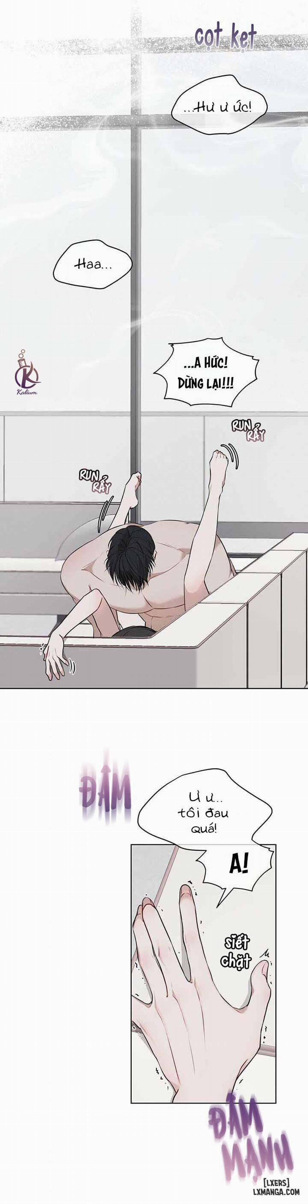 Hình thái khởi sinh 22 trang 10