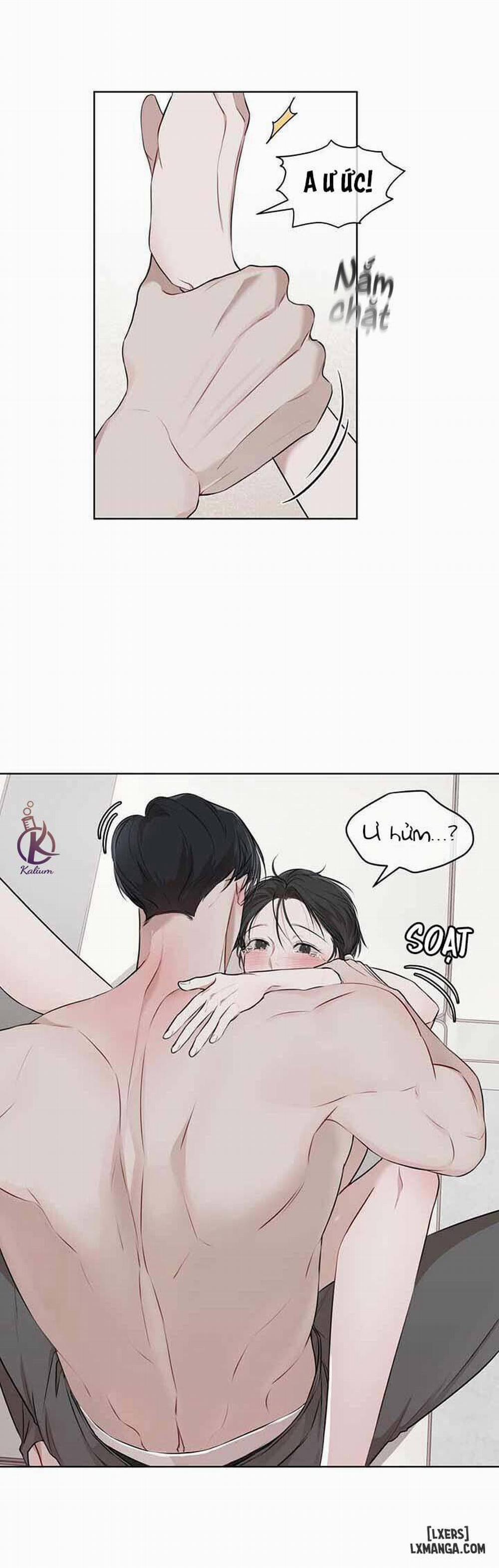 Hình thái khởi sinh 22 trang 11