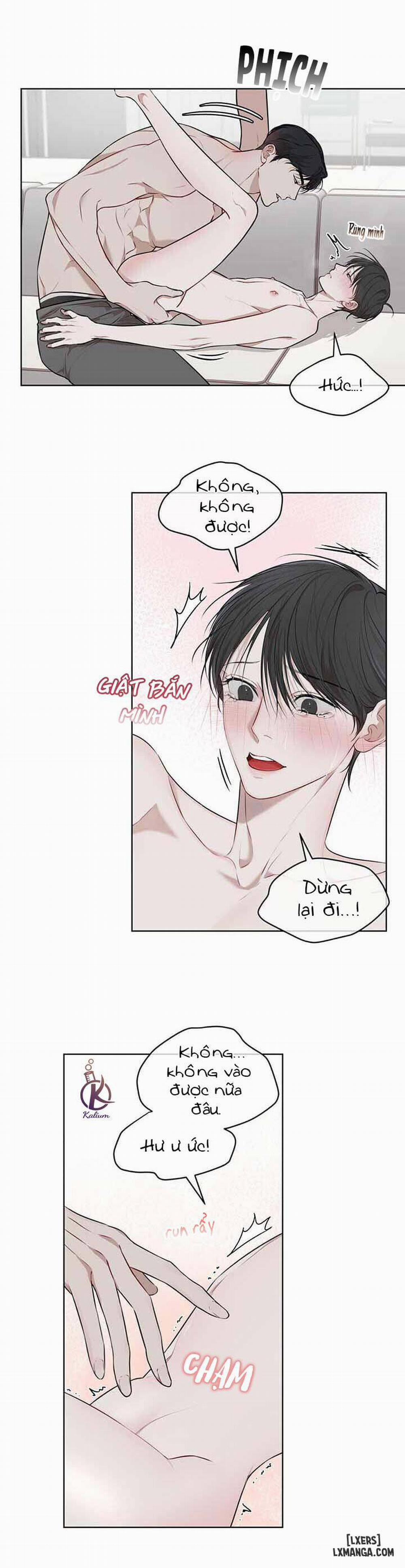 Hình thái khởi sinh 22 trang 6