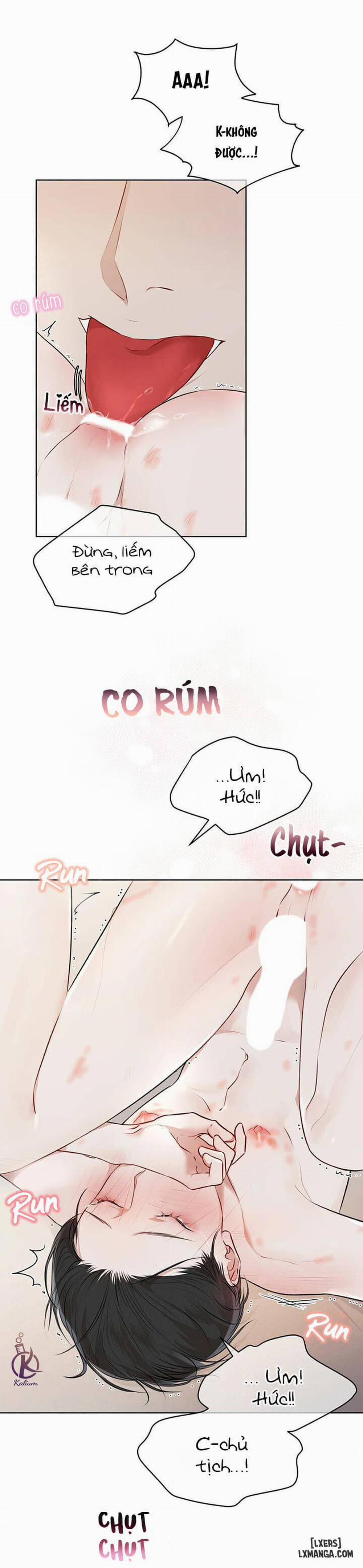 Hình thái khởi sinh 28 trang 10