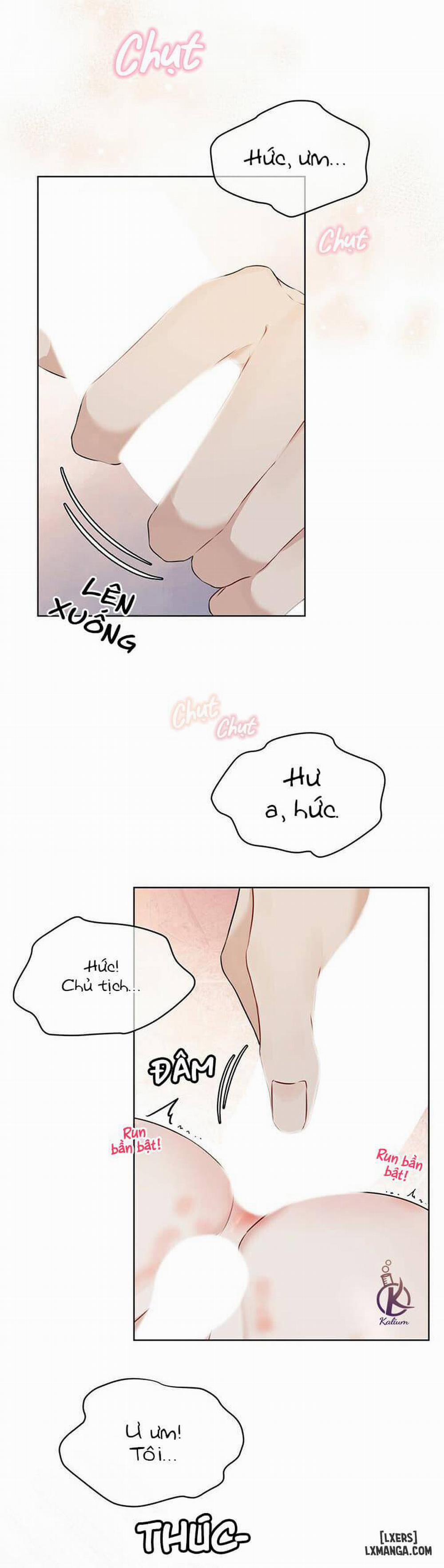 Hình thái khởi sinh 28 trang 13