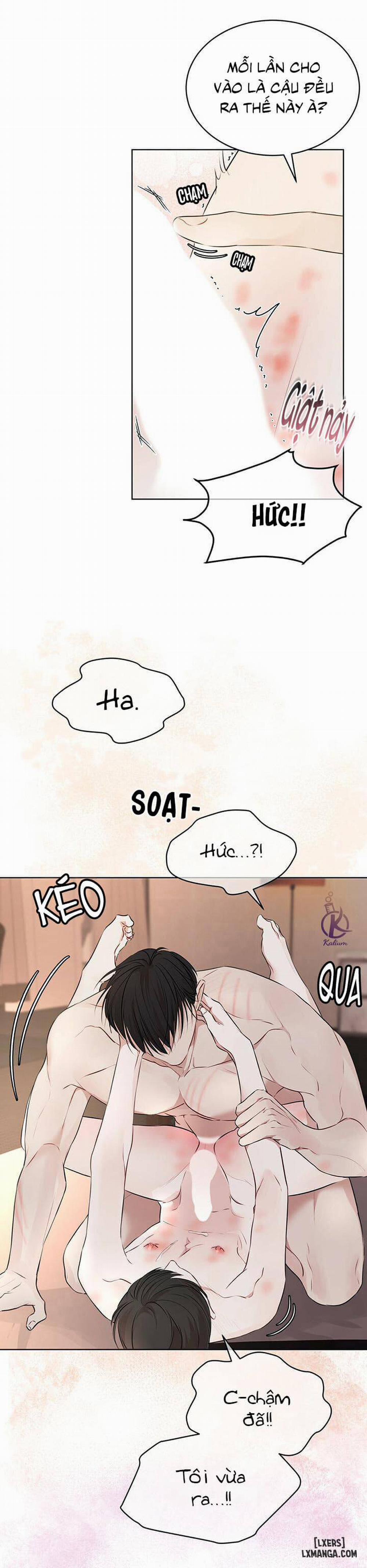 Hình thái khởi sinh 28 trang 17