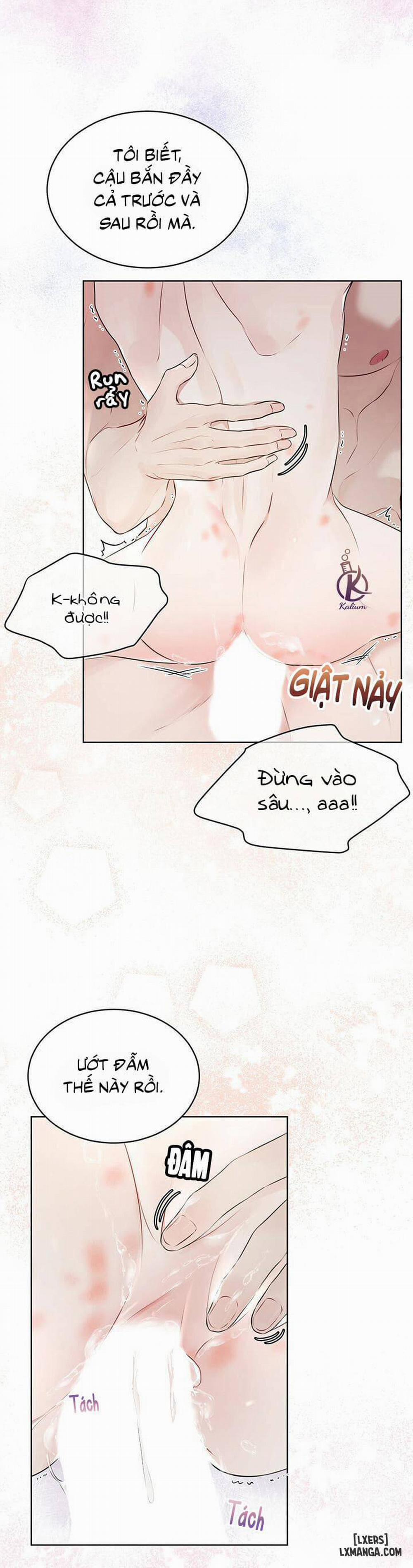 Hình thái khởi sinh 28 trang 18