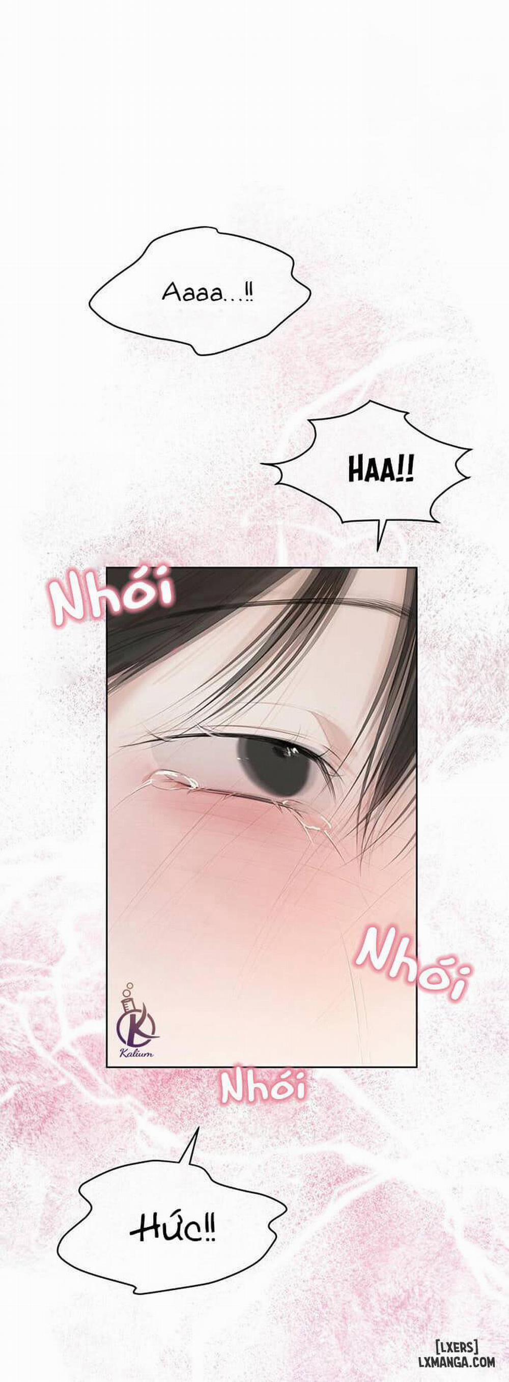 Hình thái khởi sinh 28 trang 24