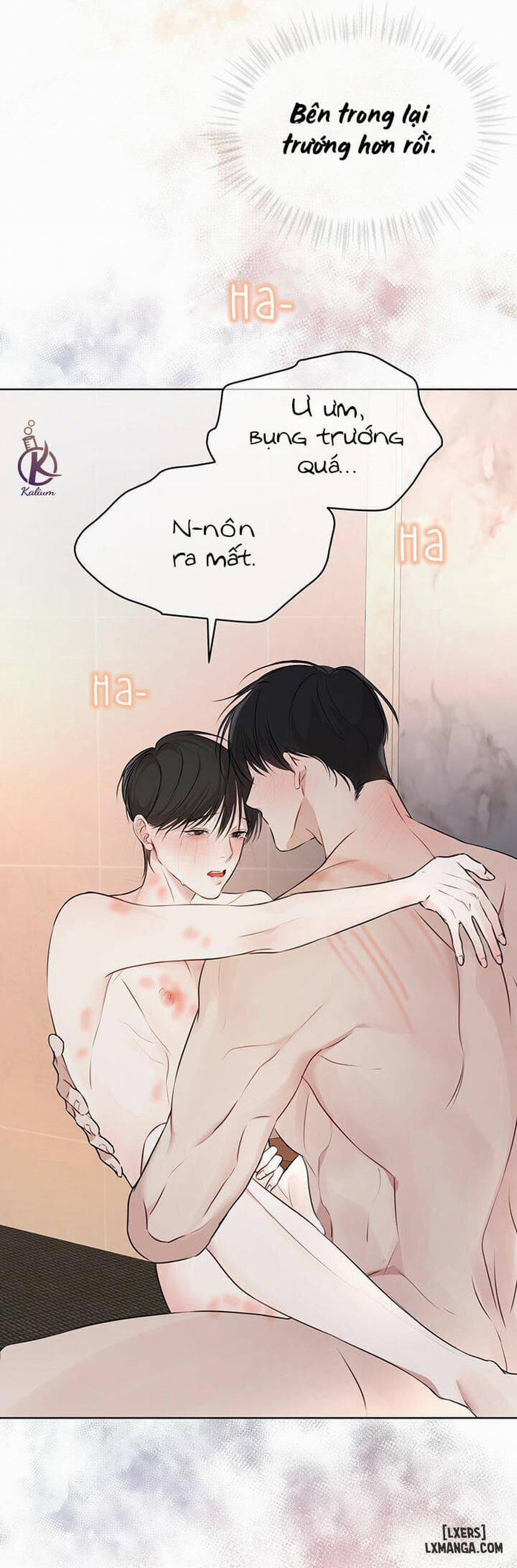 Hình thái khởi sinh 28 trang 27