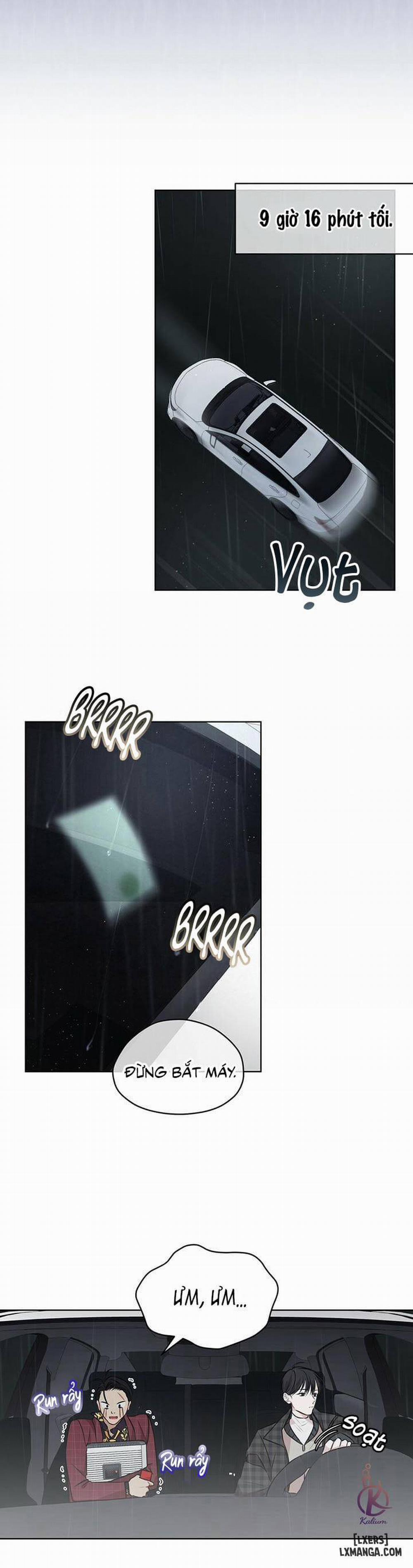 Hình thái khởi sinh 30 trang 17