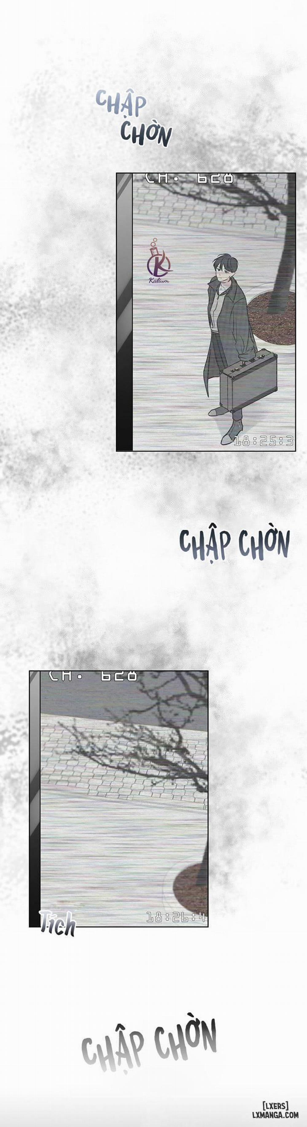 Hình thái khởi sinh 30 trang 2