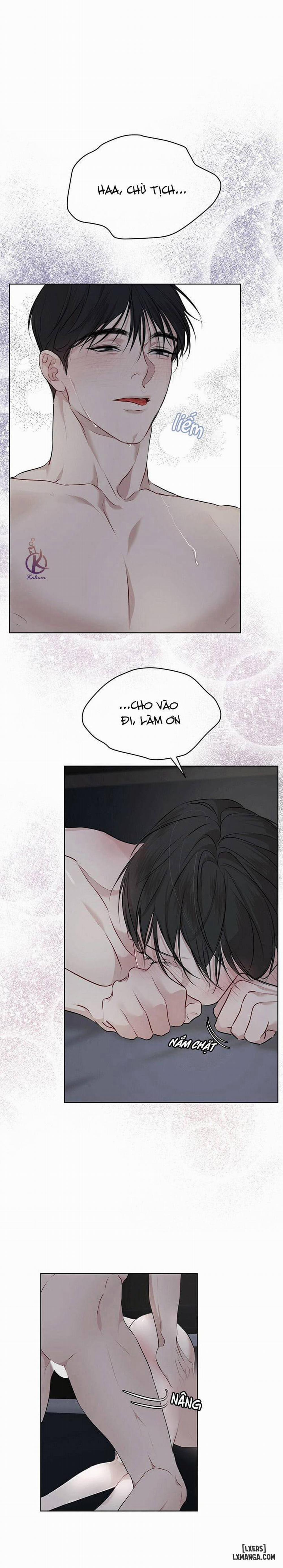 Hình thái khởi sinh 37 trang 11