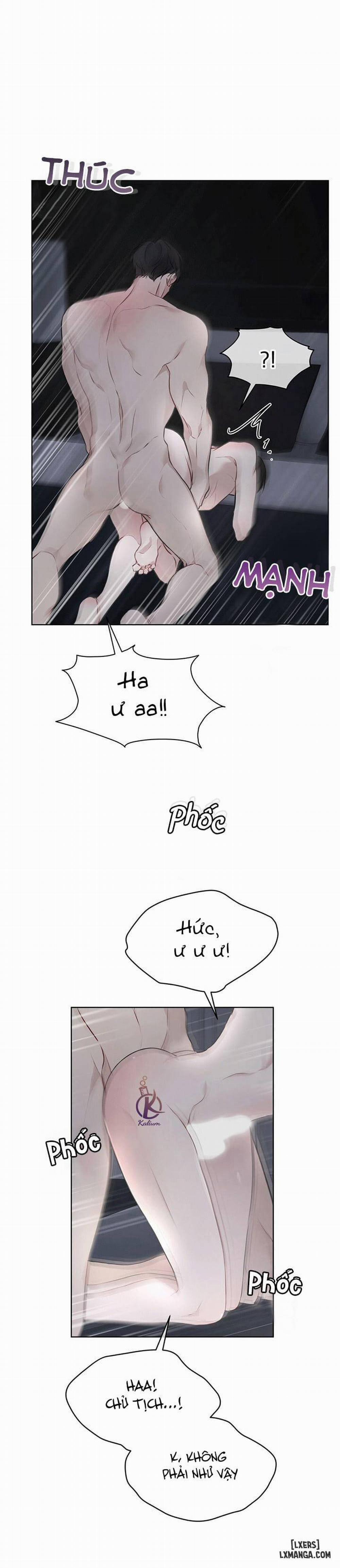 Hình thái khởi sinh 37 trang 12