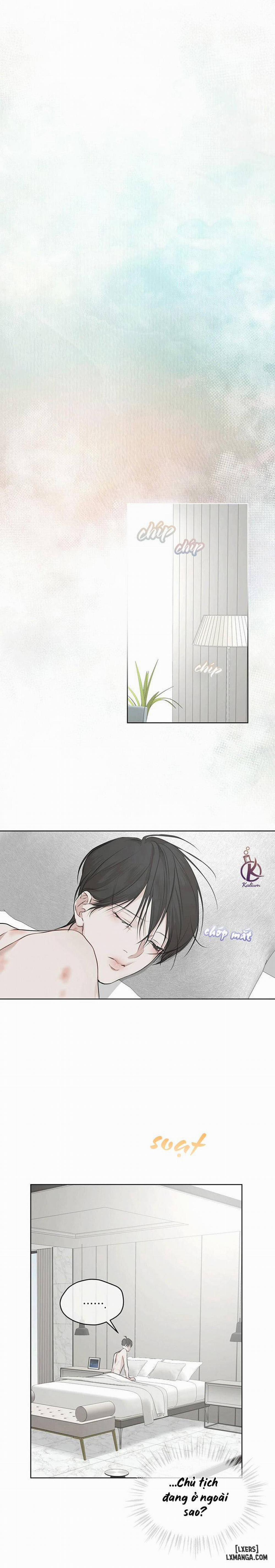 Hình thái khởi sinh 37 trang 20