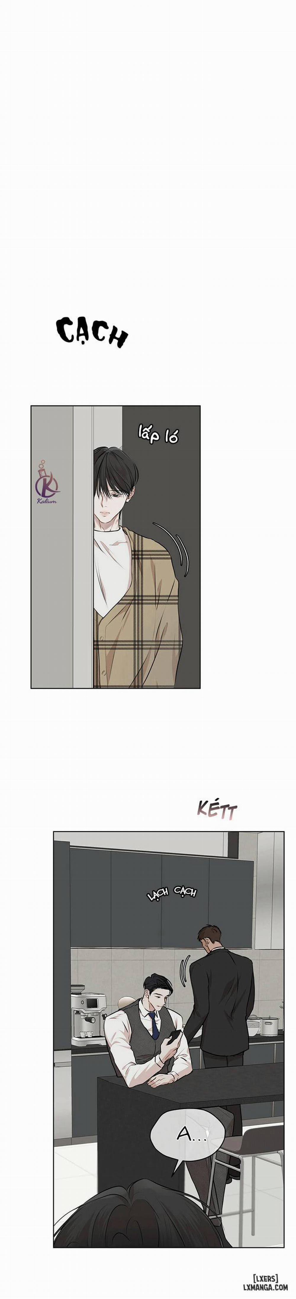 Hình thái khởi sinh 37 trang 21