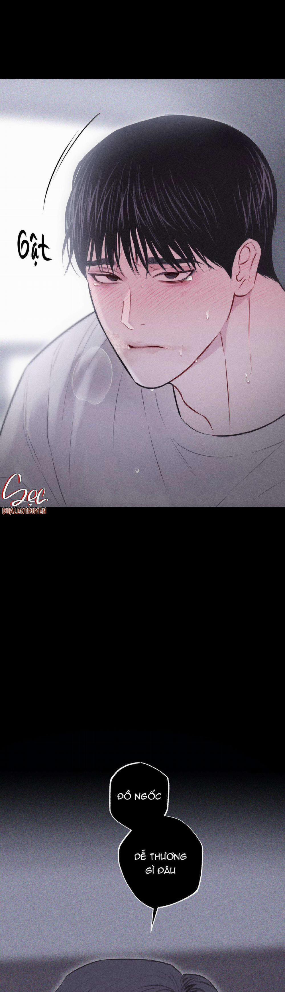 Hình Thái Tình Tan 0 H+++ trang 24