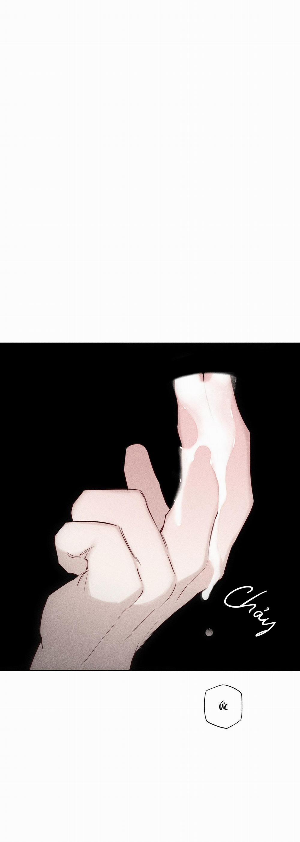 Hình Thái Tình Tan 15 H+ trang 31