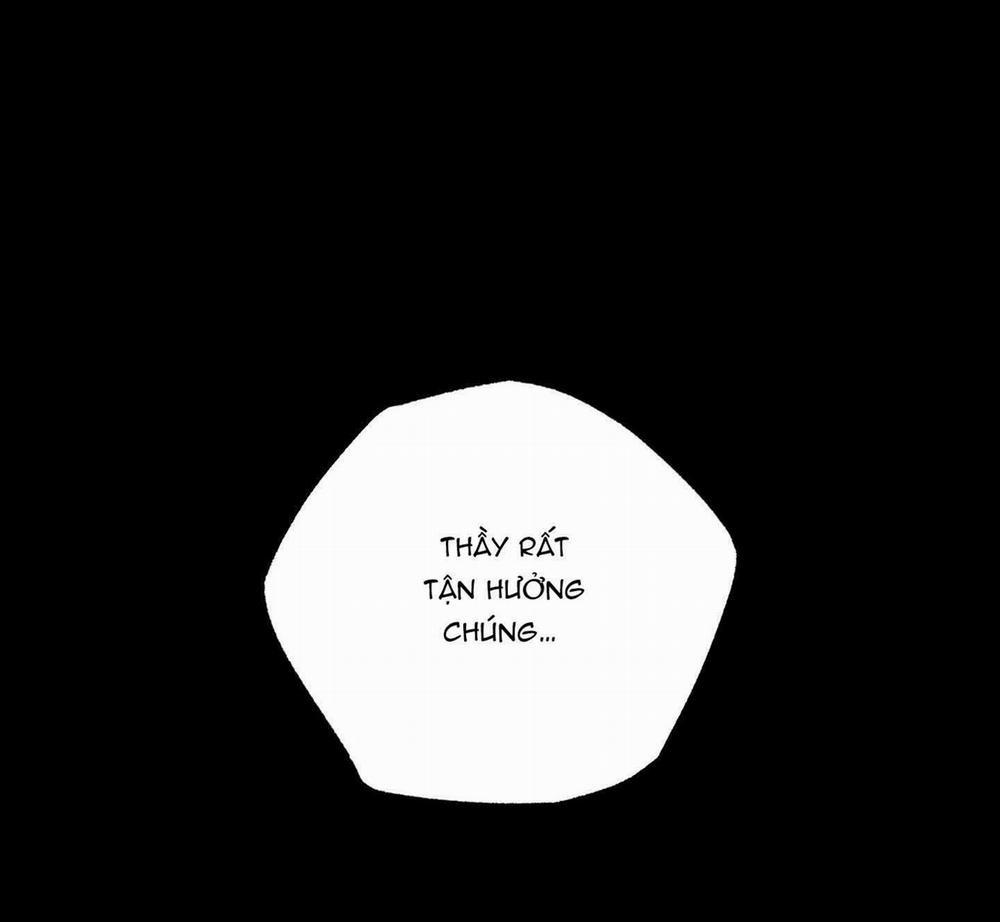 Hình Thái Tình Tan 16 trang 43